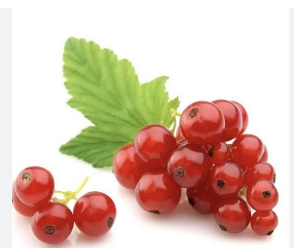 Redberry Fragrance Oil