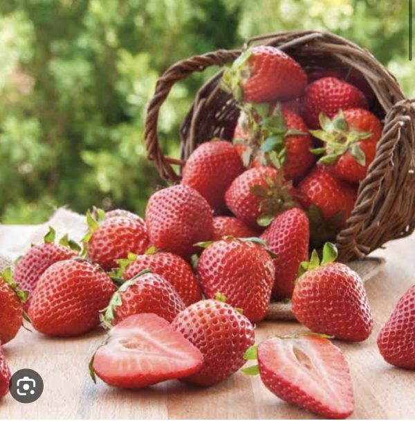 Strawberry Fragrance Oil