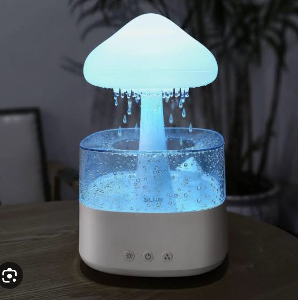 Rain Drop Humidifier