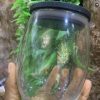 Egg Jar - Image 3