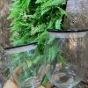Egg Jar - Image 6