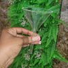 Glass Funnel - Image 2