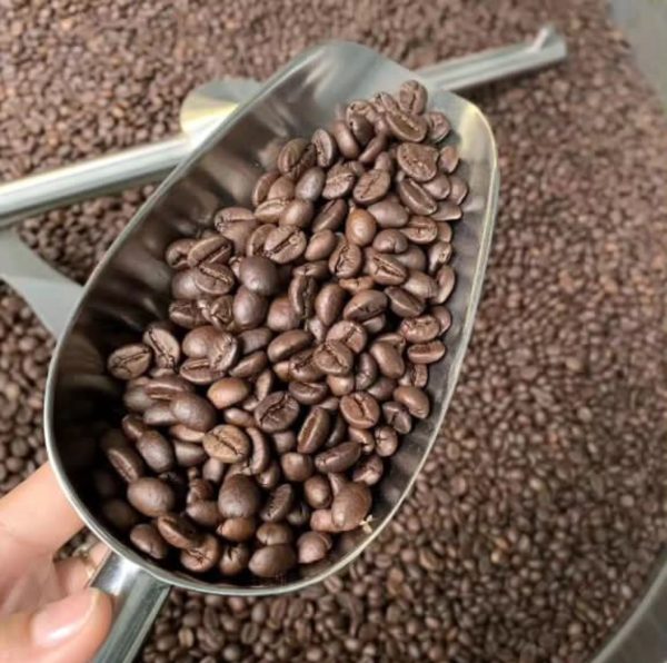 COFFEE BEAN