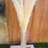 Fluffy Pampers Grass