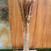 Fluffy Pampers Grass - Image 3