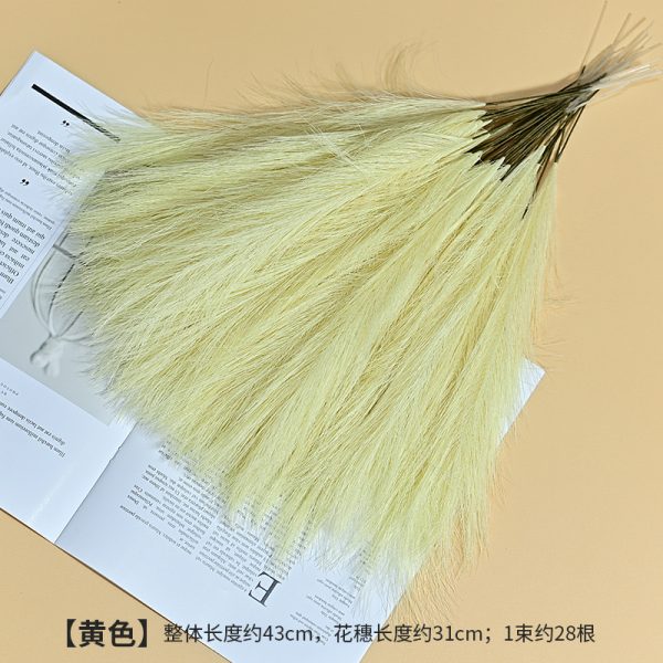 Cat tail pampers grass - Image 14