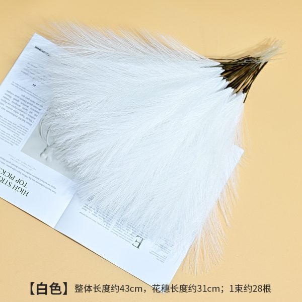Cat tail pampers grass - Image 7