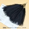 Cat tail pampas grass - Image 4