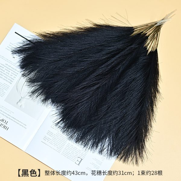 Cat tail pampers grass - Image 4