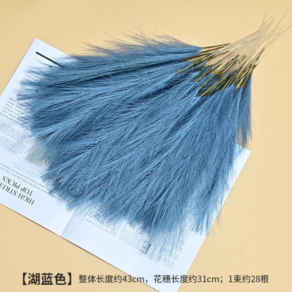 Cat tail pampers grass - Image 9
