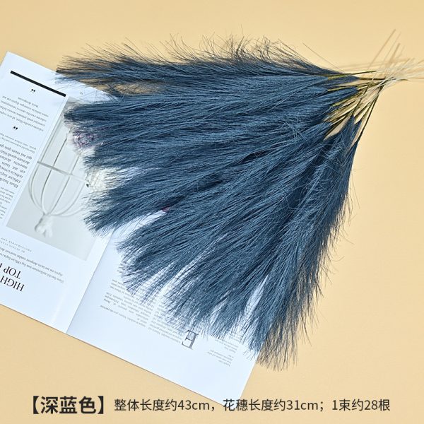 Cat tail pampers grass - Image 11