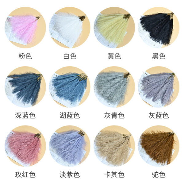 Cat tail pampers grass - Image 15