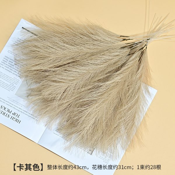 Cat tail pampers grass - Image 8