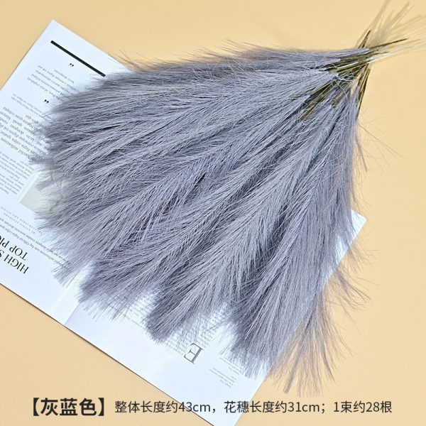 Cat tail pampers grass - Image 5