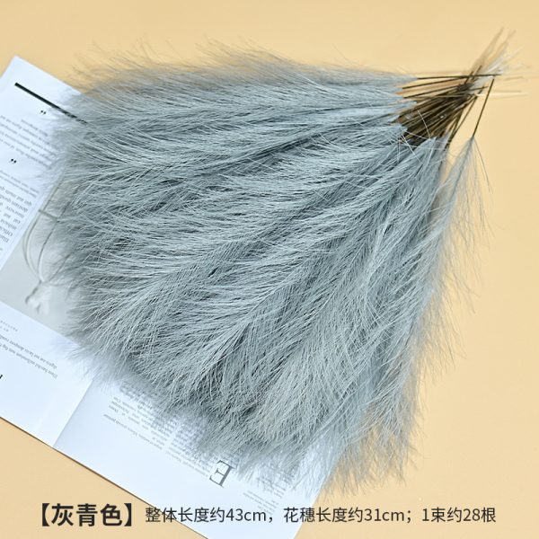 Cat tail pampers grass - Image 10