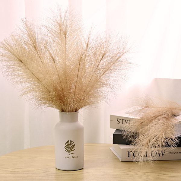 Cat tail pampers grass
