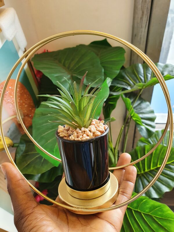 Double Ring Ported plant Decor