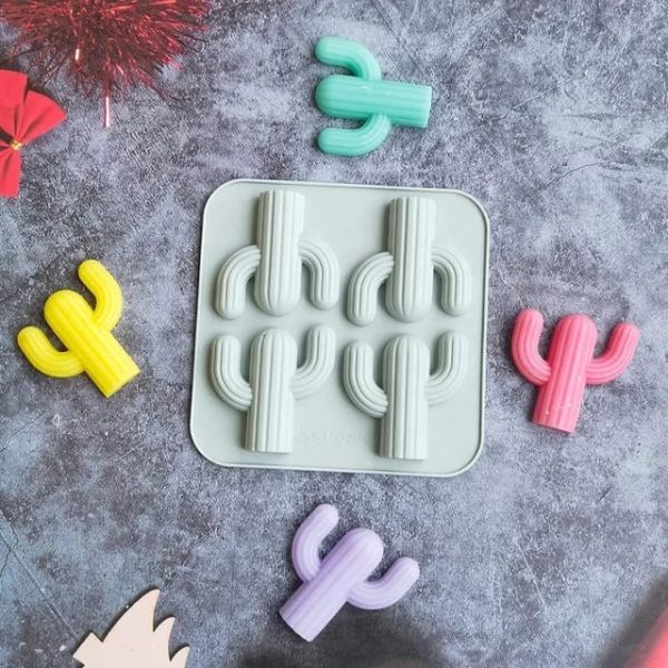 4in1 Cactus Mold