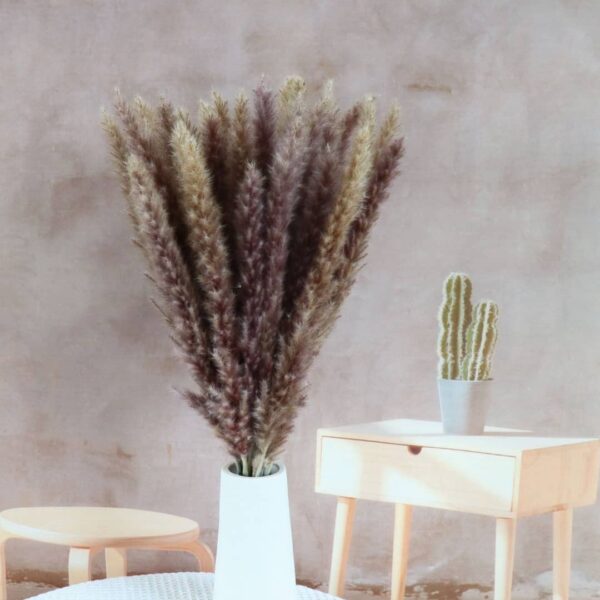 Fluffy Pampers Grass