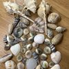 MIXED SHELL - Image 8