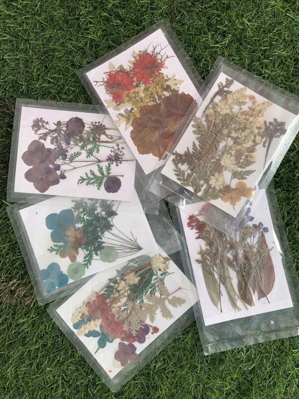 Sachet dry flower