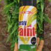 Spray paint - Image 19
