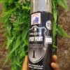 Spray paint - Image 20
