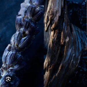 Dior Sauvage Fragrance Oil