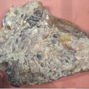 AmberGris Musk Fragrance Oil