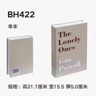 Faux Book - Image 46