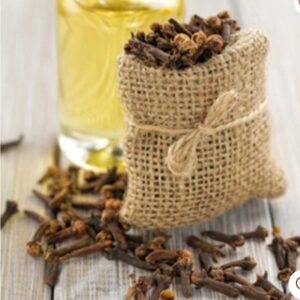Clove fragrance oil SL