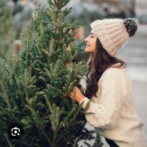 Christmas Tree Fragrance Oil