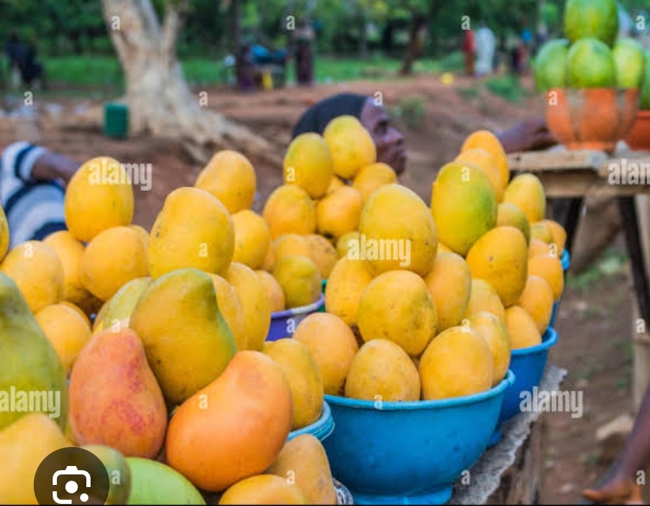 MANGO ATLANTIS FRAGRANCE OIL